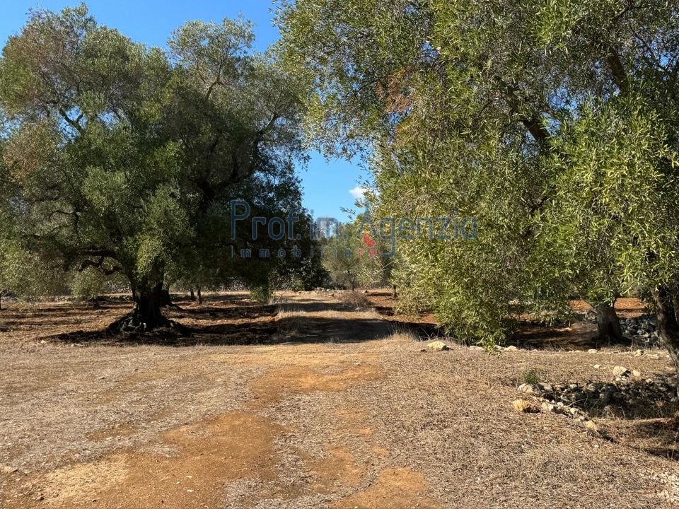 Helårsgrund i Carovigno, Brindisi - foto 4